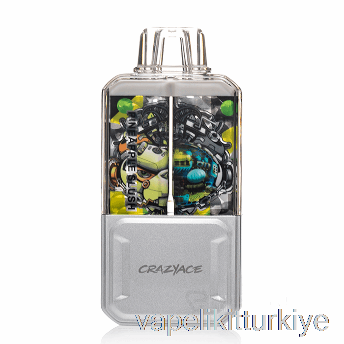 Vape Elektronik Sigara çılgınace B15000 Tek Kullanımlık Ananas Sulu Kar